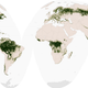 Illustration for article titled No One Knows How Much Forest We Have Left Because No One Can Decide What a Forest Is